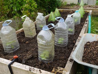 5 aprílových trikov, na