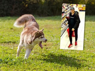 Dievča dohrýzol zúrivý PES