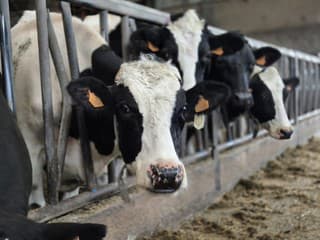 Obrovský škandál: Do Európy