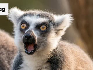 KVÍZ Prever svoje znalosti