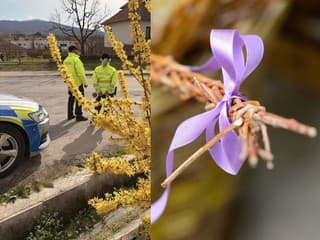 Polícia SR bude dohladia