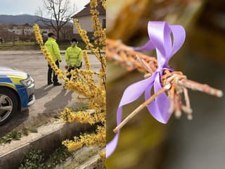 Polícia SR bude dohladia