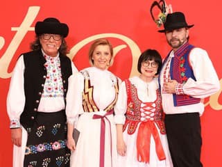 Let's Dance, porotcovia