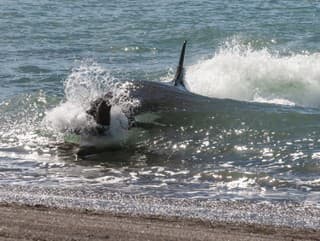 Zázrak na obzore? Uviaznutá