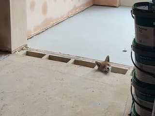 Rekonštrukcia snov sa zmenila