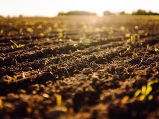 Ojedinele je na Slovensku