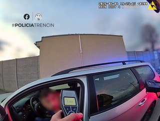 Vodič jazdil v Novom