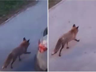 STRACH na bystrickom sídlisku: