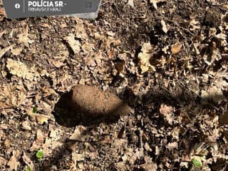 To asi nečakala! Žena