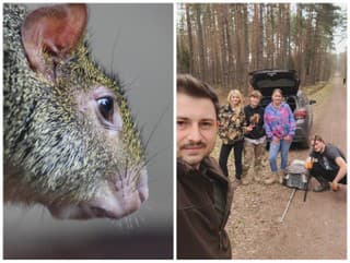 Výletníkov zaskočil výskyt záhadného