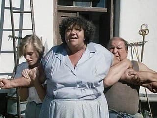 Furt králíka, každej den