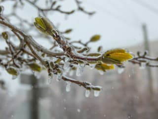 Mrazy udrú aj túto