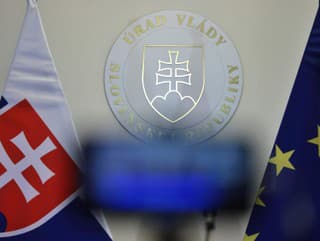 Vláda sa bude venovať