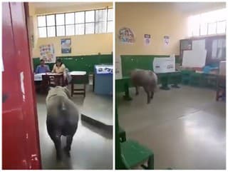 Komisia bola v ŠOKU: