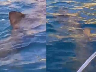 Pri výletnej lodi necelý