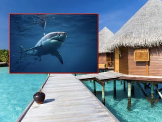 Horor v dovolenkovom raji: