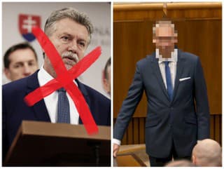 Hajko nesúhlasil so smerovaním