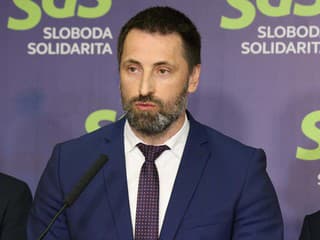 Poslanec Národnej rady Viskupič