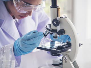 V krajine vyčíňa ZÁHADNÉ