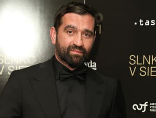 Slnko v sieti. Milan