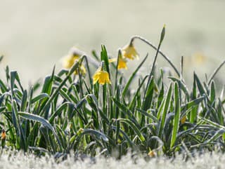 Výstraha pre väčšinu regiónov