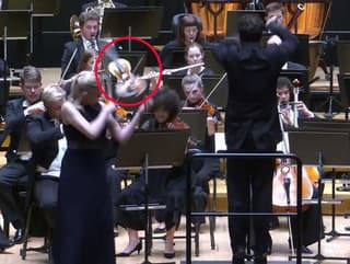 Husle leteli vzduchom.