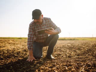 Slovensko trápi extrémne sucho!