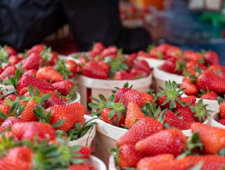 Kupujete jahody a na