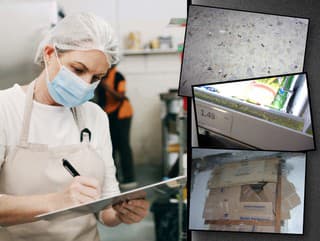 Salmonella, pokazené hovädzie aj