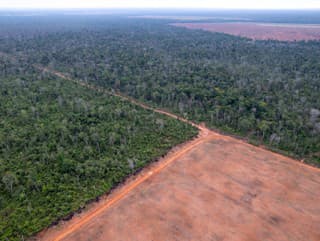 Satelity odhalili v Amazónii