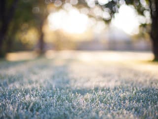 Ďalšia rana pre záhradkárov: