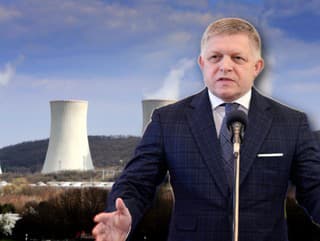 Fico chce kúpiť podiel