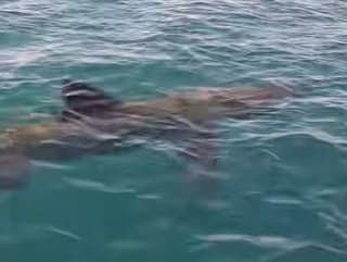 Rybári pri francúzskom pobreží