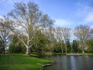 Neuveriteľné: V Stupave otvorili