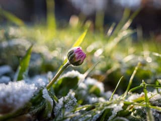 Vo viacerých okresoch Slovenska