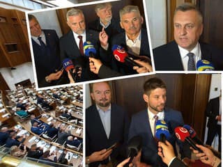 VIDEO Cirkus v parlamente: