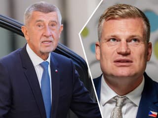 Česko na nohách, politický