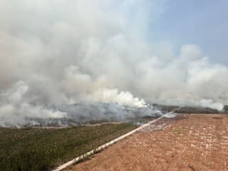 Fotografia poskytnutá úradom guvernéra