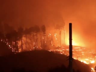 Hasiči zápasia s lesnými