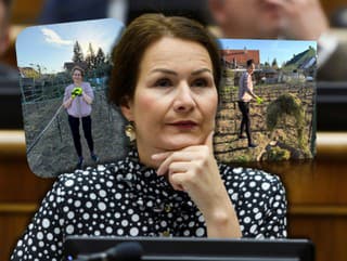 Bajo Holečková z SaS