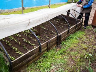 Opäť nízke nočné teploty?