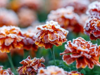 Mráz opäť udrie aj