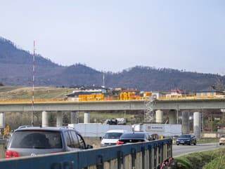 Pri Prešove rastie jedna