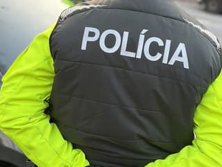 Polícia obvinila dvojicu výtržníkov: