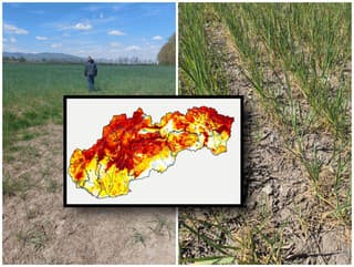 Slovensko zasiahlo extrémne SUCHO: