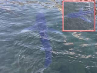 Pri pobreží chorvátskeho ostrova