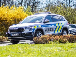 Dráma na rušnej ulici: