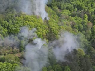 Slovenské lesy v plameňoch!