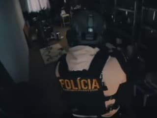 Policajná akcia Pulec.