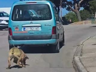 Muž ťahal psa za